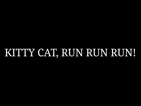 Kitty Cat, Run Run Run! || Fake collab 