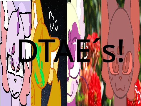 DTAE´s! (4/4)