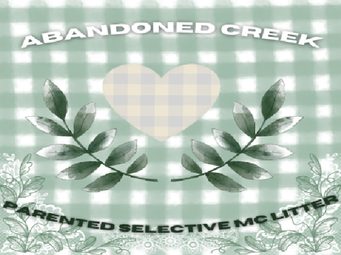 Abandoned Creek ~ A S MC Parented Litter