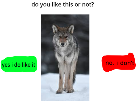 do you like it? game