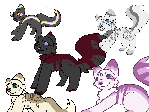 Race to 1k Raffle!