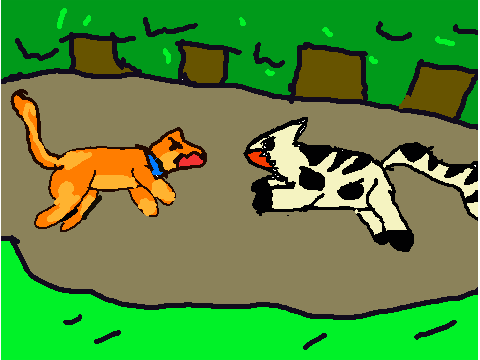 Map part 6 the fight 