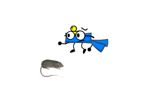 jorky
