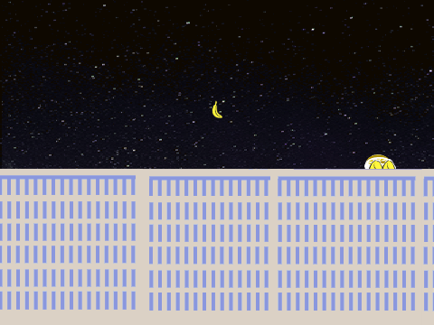FLAPPY DASH... banana?!