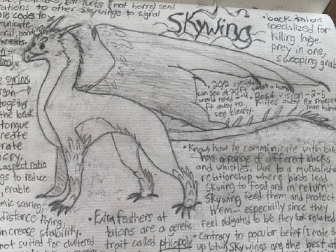 Skywing Design