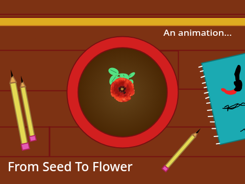 From Seed to Flower