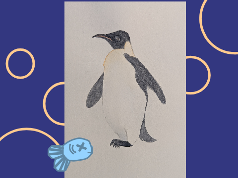 Emperor Penguin :3