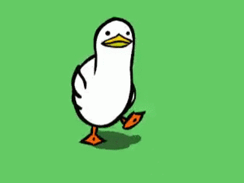 Chill with duck
