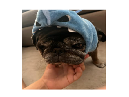  PugShark X3