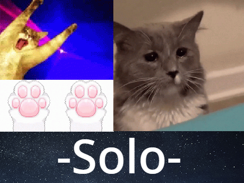 -Solo meme template with cats-