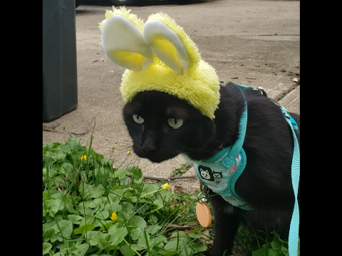 happy easter guys