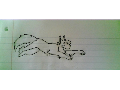 drawing. idk