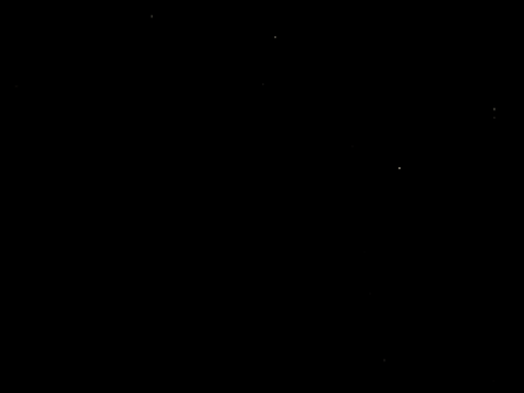 星が瞬くプログラム✩