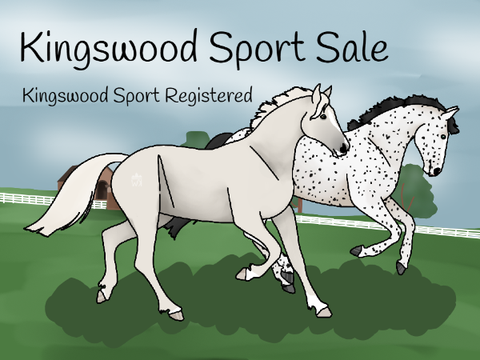  Kingswood Sport Horse Sale | Registered Horses