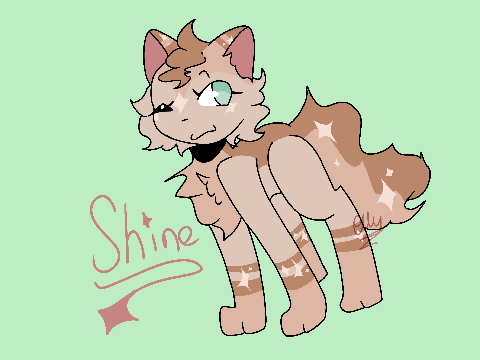 `°•* ✦ ❝ ᴀʟʟ ᴇʏᴇs ᴏɴ ᴍᴇ ❞ • shiningpaw ✶*•°`