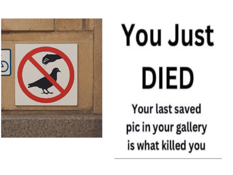 For seasoning pigeons apparently