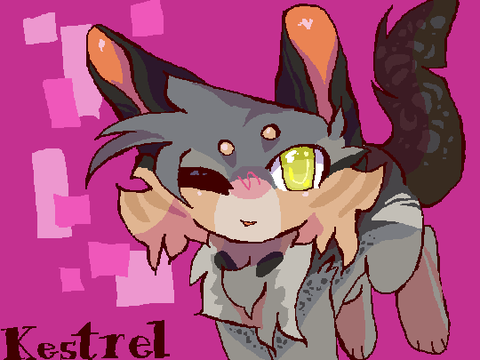 ʚɞ kestrel dtae