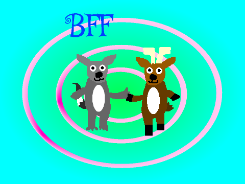 for raccoonlover