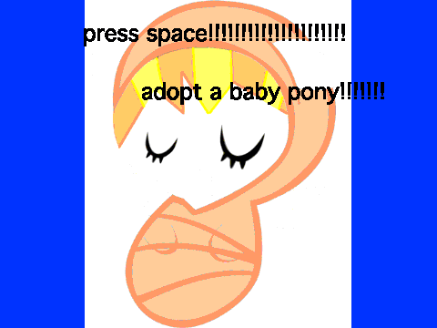 Adopt a baby pony!!!!!!!!!