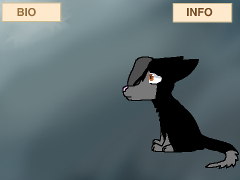 Injection RP Bio