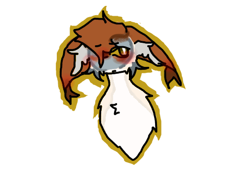 Sorry-
