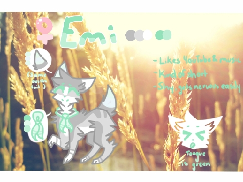 Emiiko - Reference Sheet