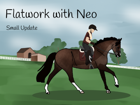 Flatwork with Neo | Small Update