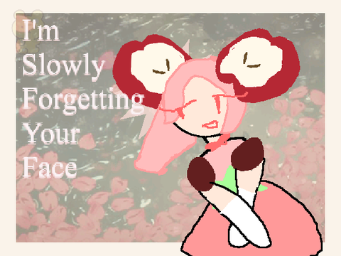 I'm slowly forgetting your face Memix