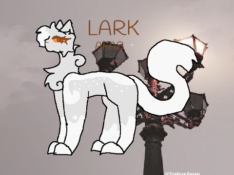 ` project moonlark ` larkkit application