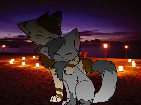 (CC ENTRY) COUNTING STARS