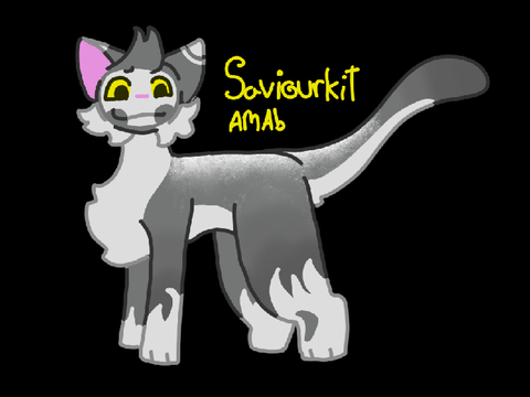 ♪ Our Saviour! ♪ A Saviourkit Bio ♪