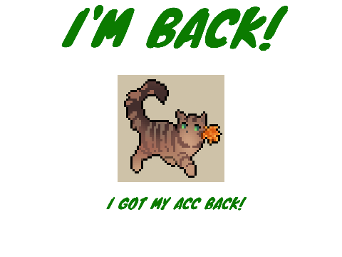 I'M BACK!