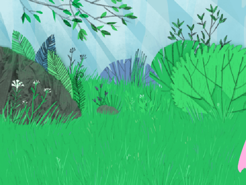 forest