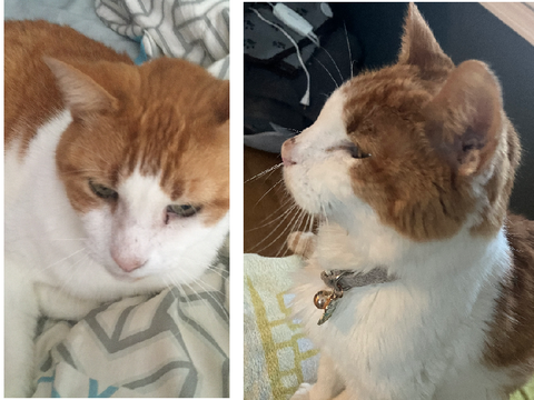 First and last photo 