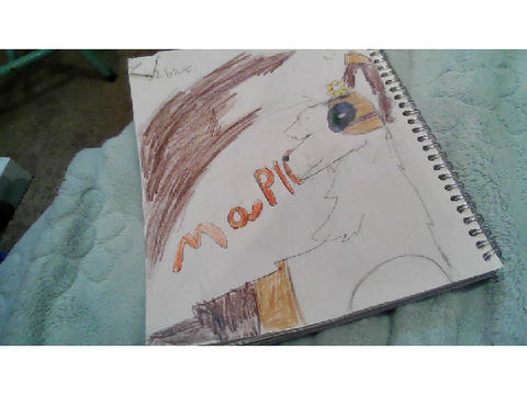 Fanart! of maple. FOR 52BLUE