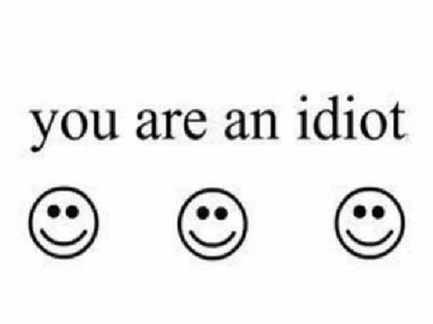 you are an idiot virus!