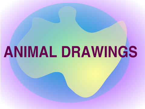 Animal Art!