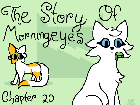 The story of Morningeyes TNE