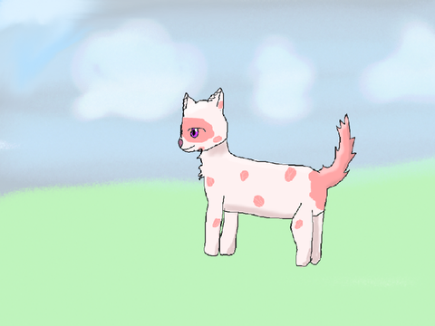 Spring DTAE