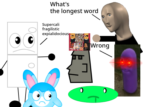 POV: People who have no idea what the longest word is