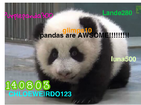Sign if you are against PANDA POACHING! remix remix remix