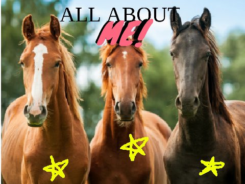 All about me!