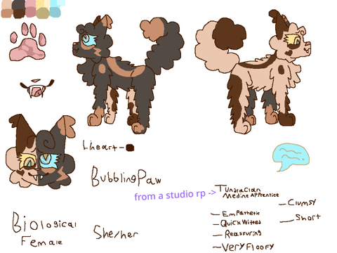 Starbroken Character Sheet remix