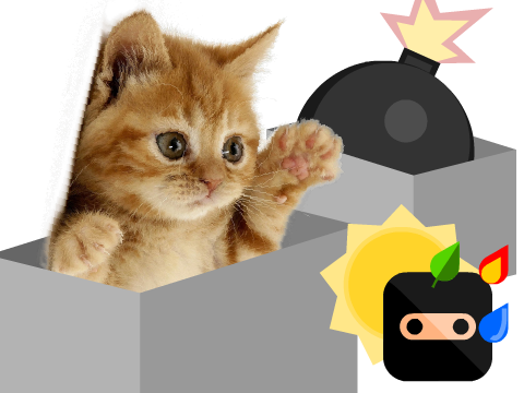 Cat Bomb Boxes