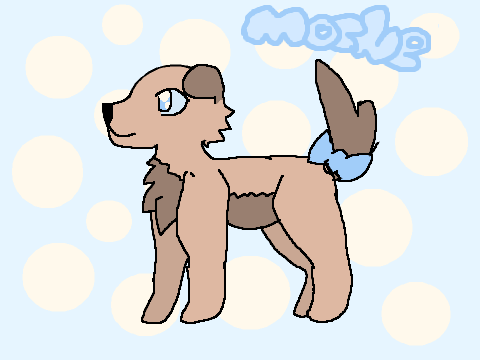 -Marine's First DTAE