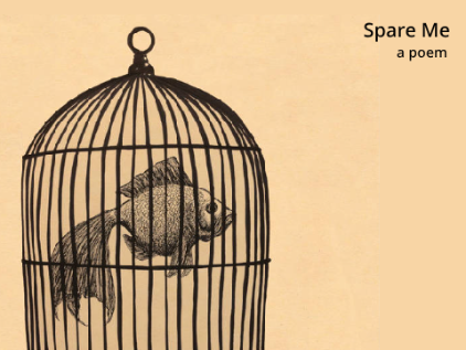 Spare Me | a poem 