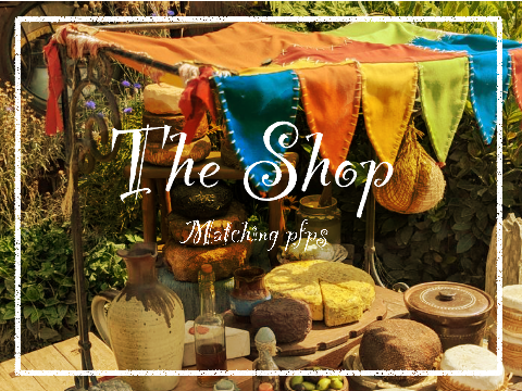 The Shop ᯽ Matching PFPs