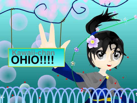 o KAWAII-CHAN OHIO!!!!!! o