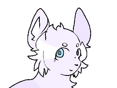 My OC Snow