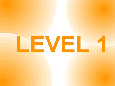 level 1- results